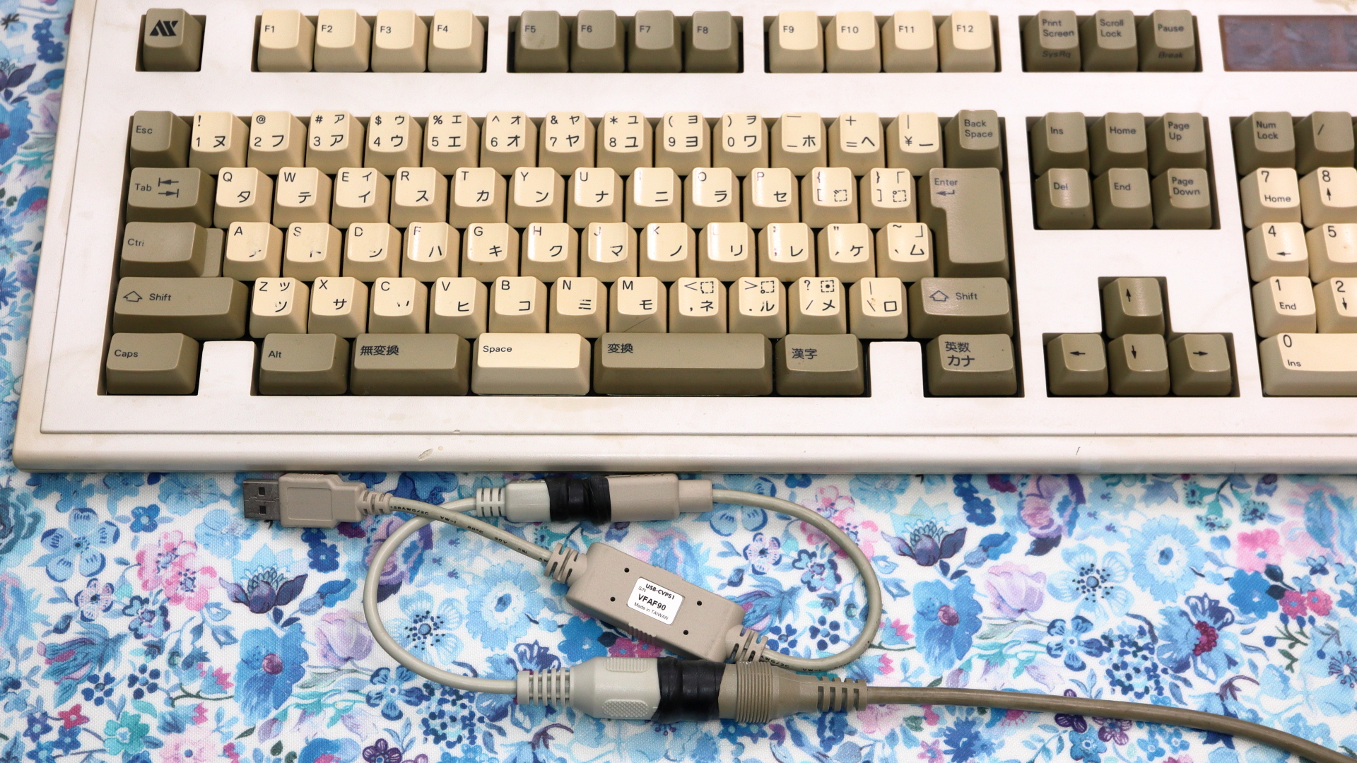 �ϊ��A�_�v�^