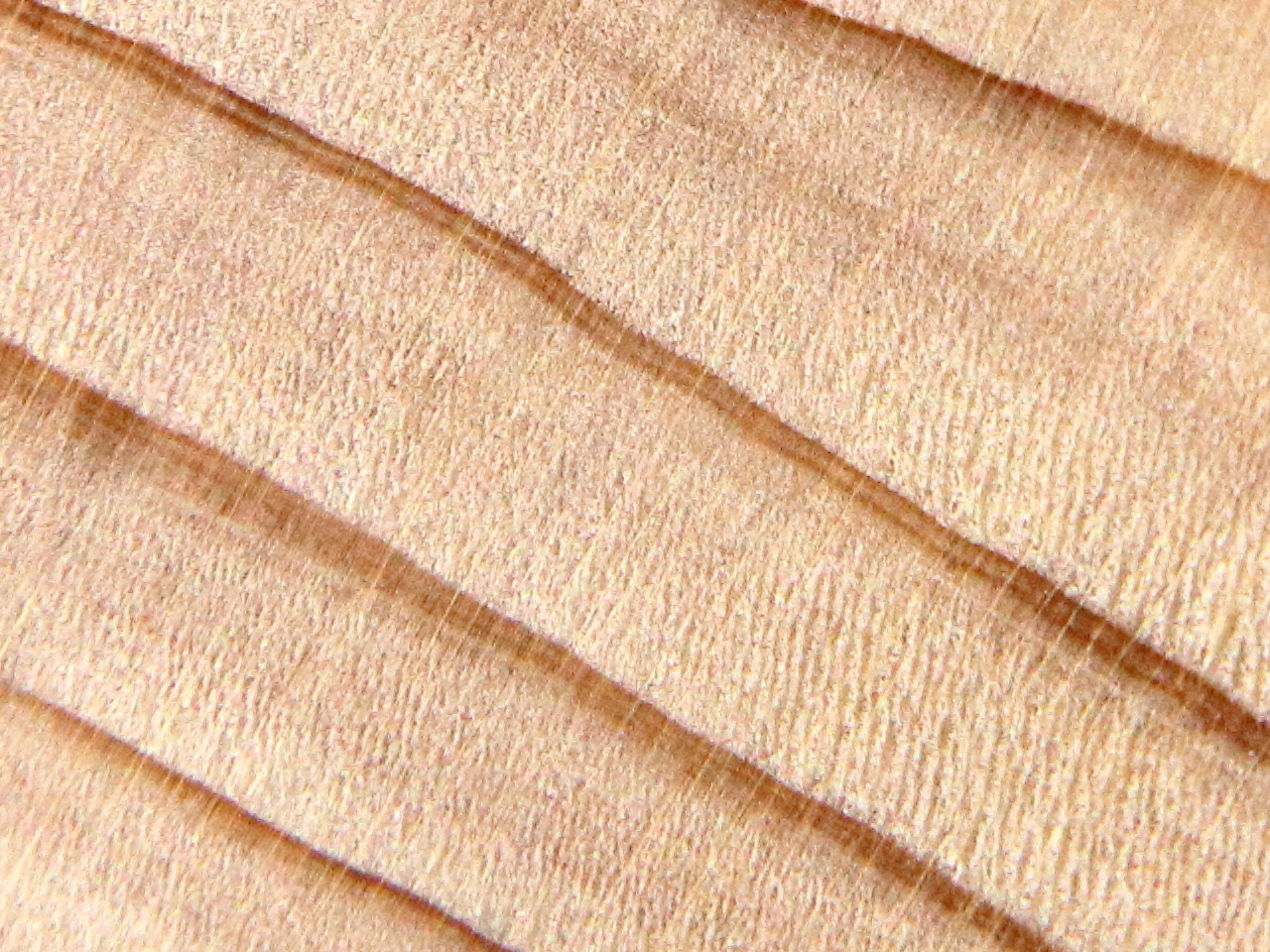 Hinoki end grain cross section