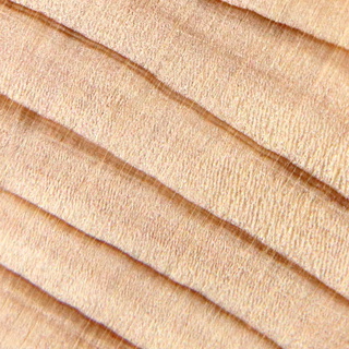 Hinoki-cypress-cross-section.jpg