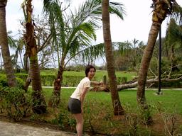 �䕗�̒܍��I