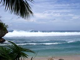 �~��w�������ł���